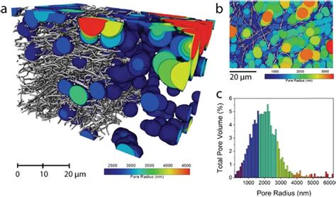 Pore Size Distribution In The Pore Phase Of The Carbonized N0 Sample