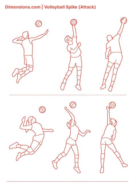 Volleyball Spike Attack Volleyball Drawing Volleyball Human Figure Sketches