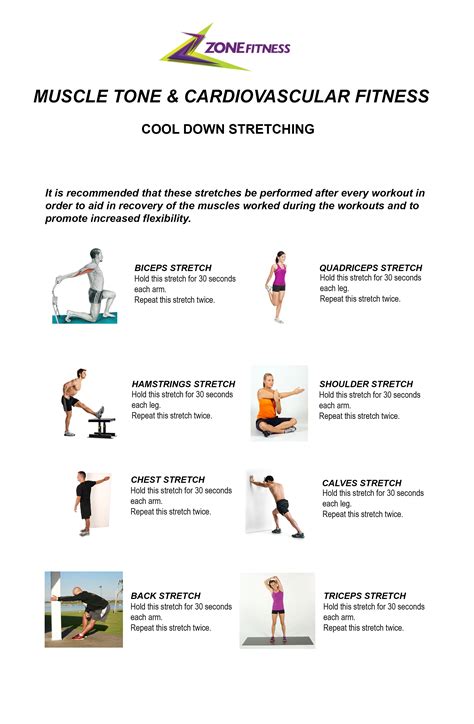 Indeed, stretching after being tired from intense workout is the last thing we want to do. MUSCLE TONE AND CARDIOVASCULAR FITNESS Cool Down ...