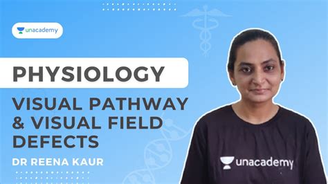 Visual Pathway And Visual Field Defects Physiology Dr Reena Kaur