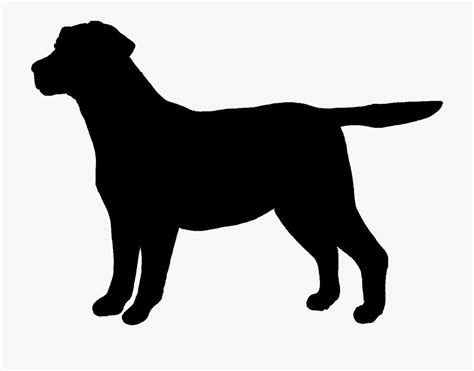 Outline Of A Labrador Clipart Png Download Outline Black Lab