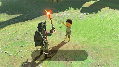 Maybe you would like to learn more about one of these? Breath of the Wild tips and tricks - Side quests - Zelda's ...