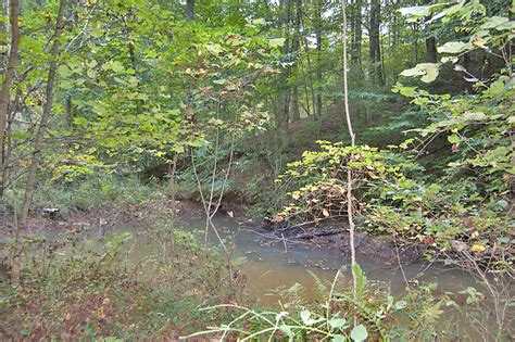 Land For Sale In Wilkes County North Carolina