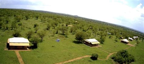 Into Wild Africa Luxury Tented Camp Serengeti Into Wild Africa Luxury