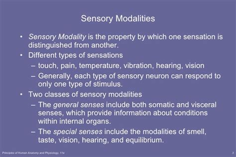 Lecture 6 Sensory