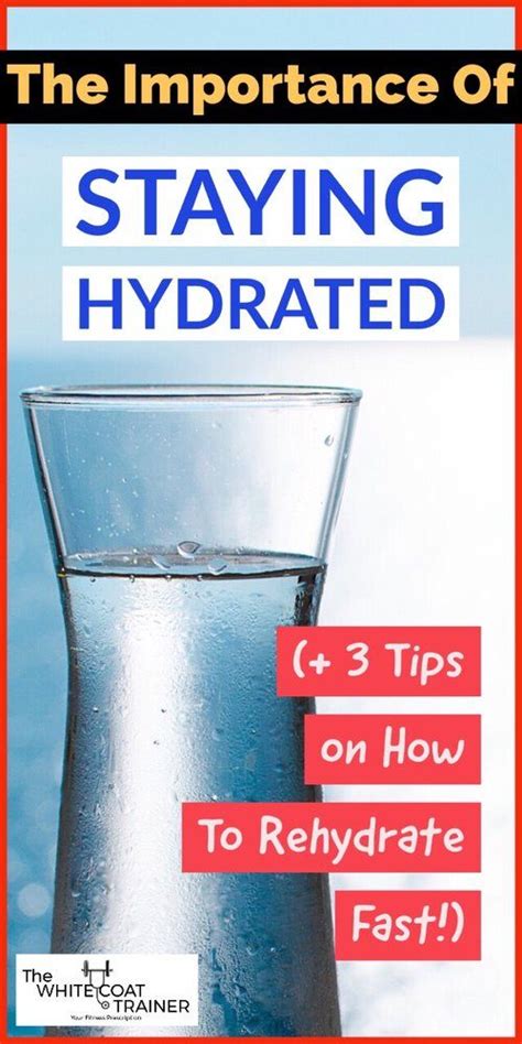 7 Awesome Facts About Hydration Everything You Need To Know