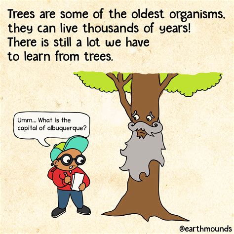 Don't forget to respect your trees! #earthmounds #nature #earth #