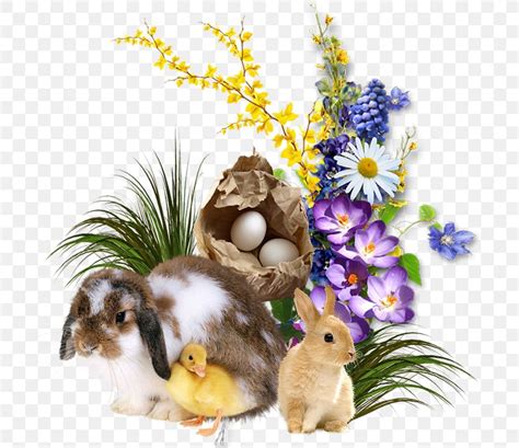 Easter Bunny Resurrection Of Jesus Holiday Png 709x709px Easter
