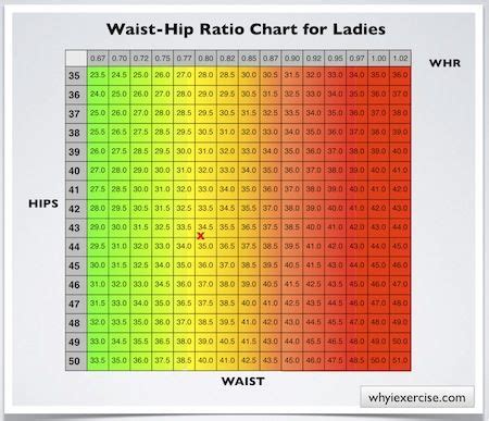 Hence, it is possible for two women to. Waist hip ratio: Simple measurements. Valuable health info ...