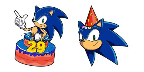 Sonic The Hedgehog Birthday Birthday Party