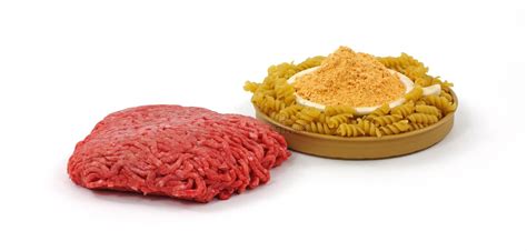 Lean Ground Beef Patty Stock Photo Image Of Patty Product 19364444