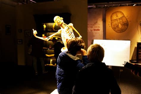 Wereldwijd trok real bodies reeds meer dan 1 miljoen bezoekers, verspreid over 14 steden. REAL BODIES - Fascinerende tijdelijke tentoonstelling in ...