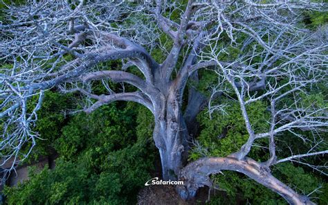 Safaricom's 2023 calendar seeks to help you find your Zen - HapaKenya