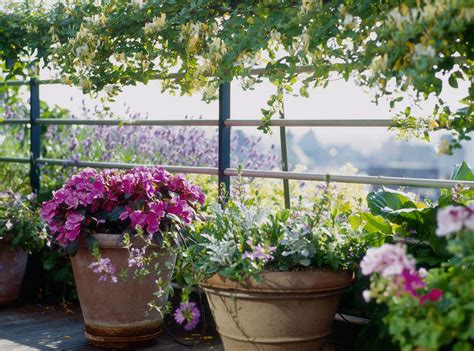 Check spelling or type a new query. 10 Common Container Gardening Mistakes