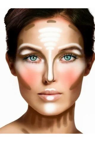 If you'd like to contour other parts of your face, don't worry about switching brushes. How to Contour and Highlight Your Face with Makeup