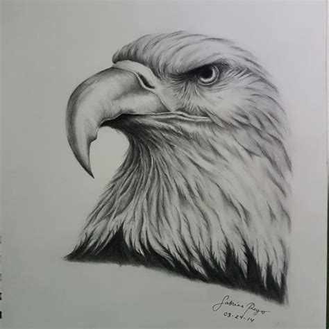 Describe tools and drawing surfaces, identify and define principles of realistic drawing, and describe various media and techniques for their use. Draw any realistic drawing of any animals,portraits and ...
