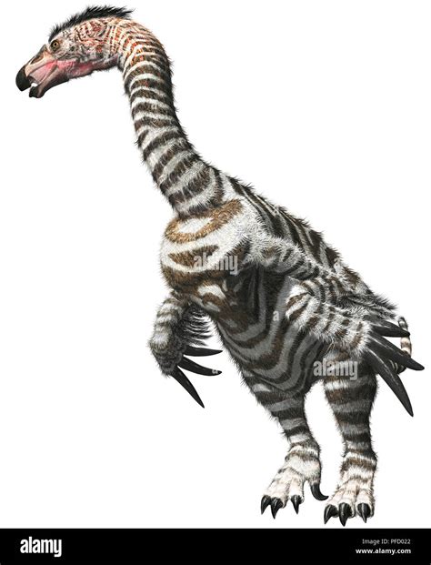 Therizinosaurus Hi Res Stock Photography And Images Alamy