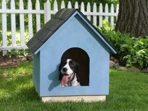 Diy Doghouse How To Build A Simple A Frame Hgtv