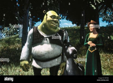 Original Film Title Shrek English Title Shrek Film Director Vicky