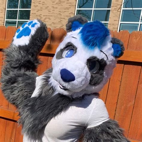 Panda Partial Complete Fursuit Maker Amino Amino