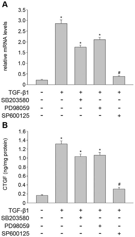 SP600125 Inhibited TGF B1 Induced CTGF Expression And Secretion In THSF