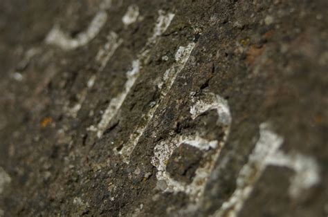 Free Images Rock Wood Texture Stone Wildlife Sign Pillar Soil