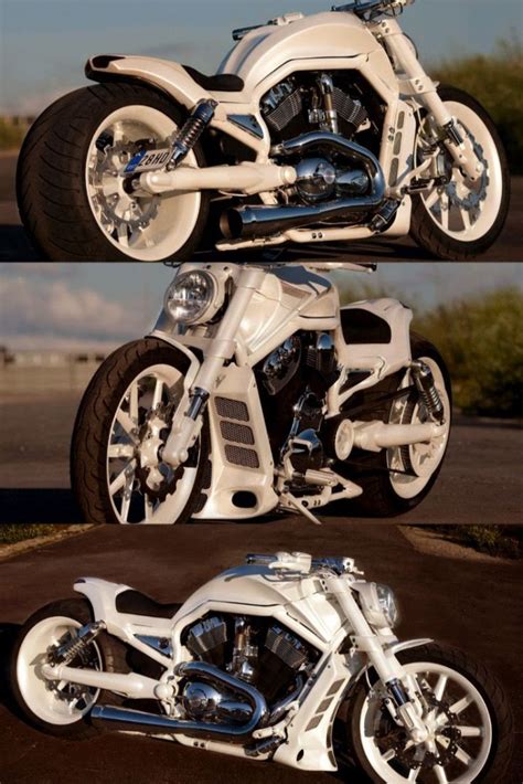 Harley Davidson V Rod White Pearl By Fredy Harley Davidson V Rod