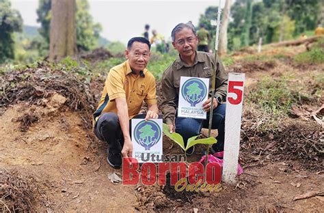 Jabatan Perhutanan Sabah Komited Laksana Kempen Tanam Juta Pokok Utusan Borneo Online