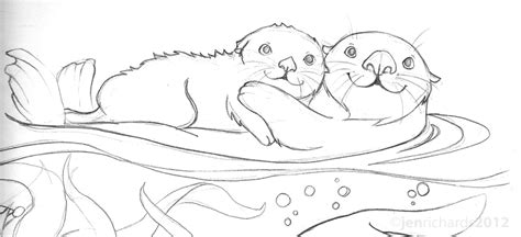 Download Sea Otter Coloring For Free Designlooter 2020 👨‍🎨