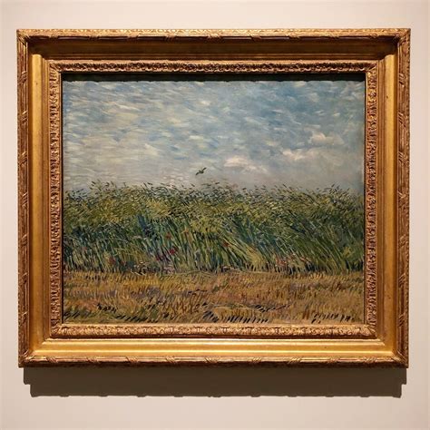 Hockney Van Gogh The Joy Of Nature In Het Van Gogh Museum In