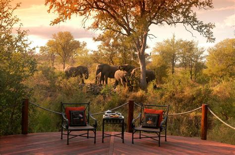 Luxury Safari Kruger Park Safaris