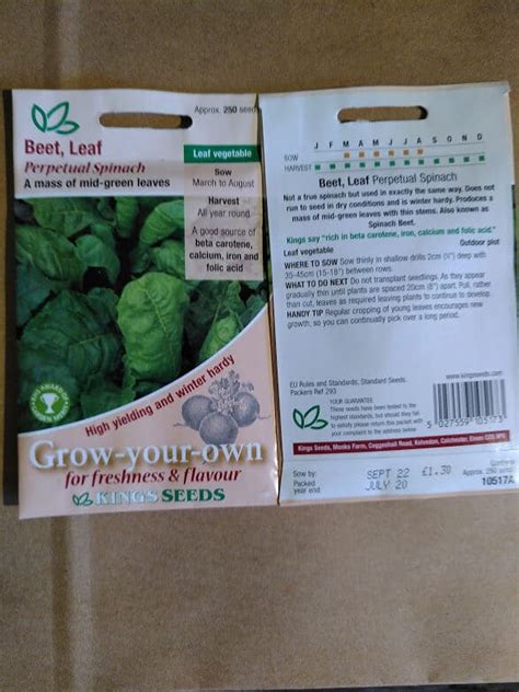 Beet Leaf Perpetual Spinach Seeds Courtyard Planters