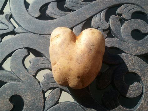 a heart shaped potato sitting on top of a table