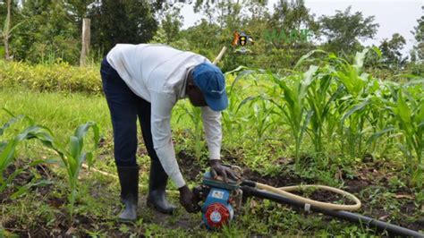 Knowledge Empowerment And Techonology Supporting Micro Scale Irrigation In Uganda
