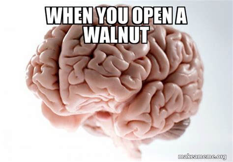 When You Open A Walnut Scumbag Brain Make A Meme