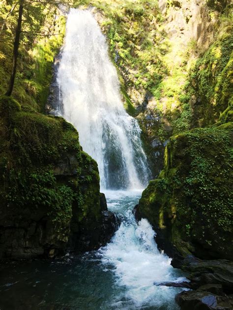 Oregon Roseburg Umpqua River Susan Creek Falls Waterfall Forest