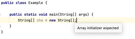 How To Declare And Initialize Array In Java Programming Code Care