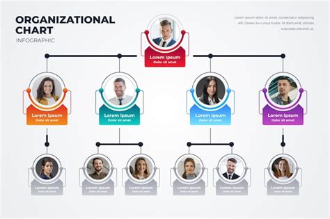 Free Vector Gradient Organizational Chart With Photo