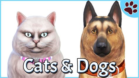 German Shepherd And British Longhair Cat Create A Pet The Sims 4 Cats