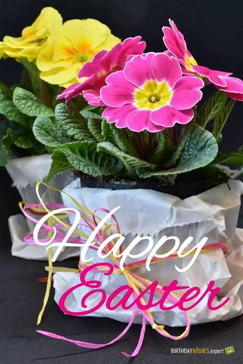 100 Happy Easter Wishes Symbols Of Rejuvenation