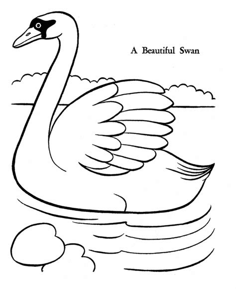 Swan Coloring Pages Kidsuki
