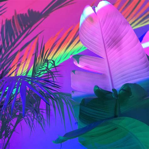 Sleazeburger Projecting Palms Onto Palms Print Sale Happening For A