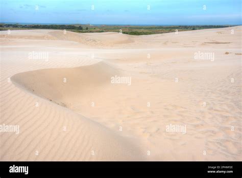 Rabjerg Mile Sand Dunes In Denmark Stock Photo Alamy