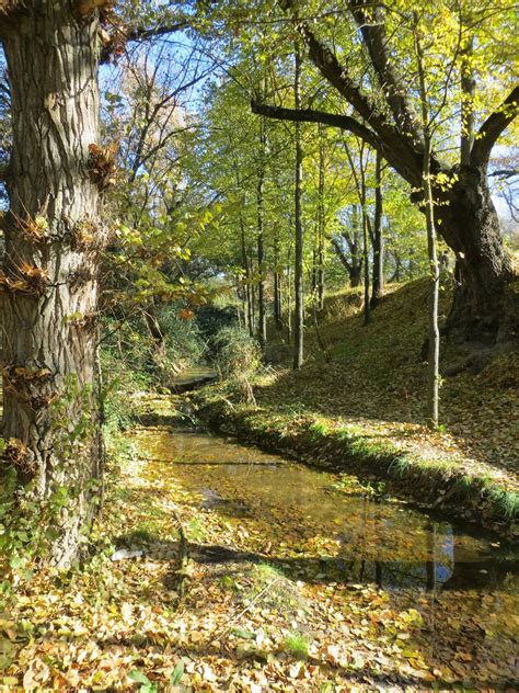 Casa de campo is so large that trying to see it all by foot is a fool's errand. Disfrutando de Madrid: Arroyo Meaques (Casa de Campo)