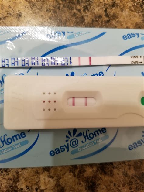 Period Lasted 1 Day Negative Pregnancy Test Pregnancywalls