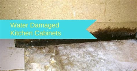 How To Repair Kitchen Cabinets With Water Damage In 3 Easy Steps