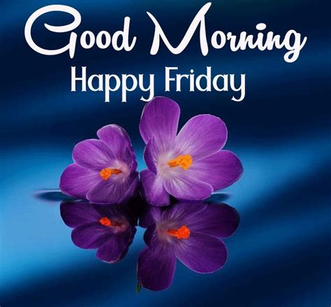 Friday Morning Wishes With Flowers Wisdom Good Morning Quotes
