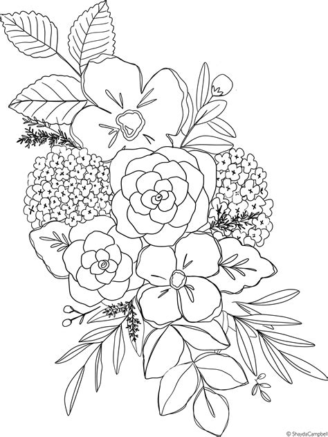 Spring Hydrangea Coloring Page Patreon Floral Drawing Drawings