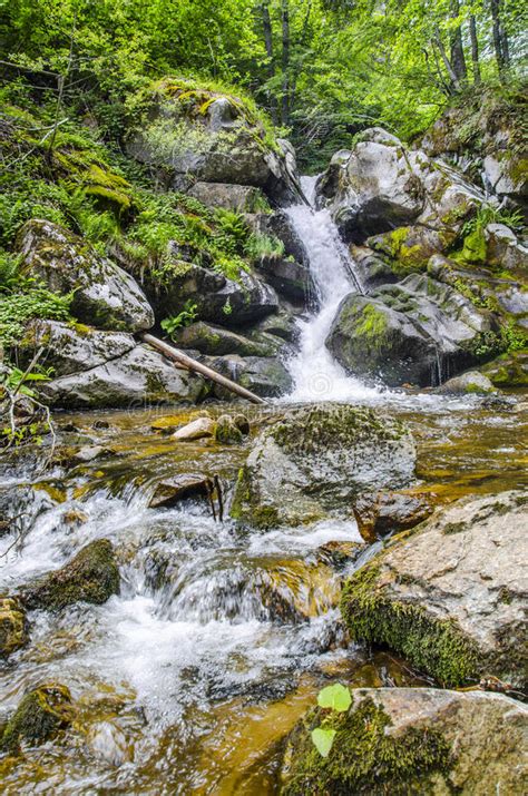 Clean Waterfall In Forest Stock Photo Image 42111033