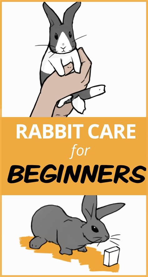 Rabbit Care The Complete Guide Rabbit Care Pet Bunny Rabbits Pet Bunny